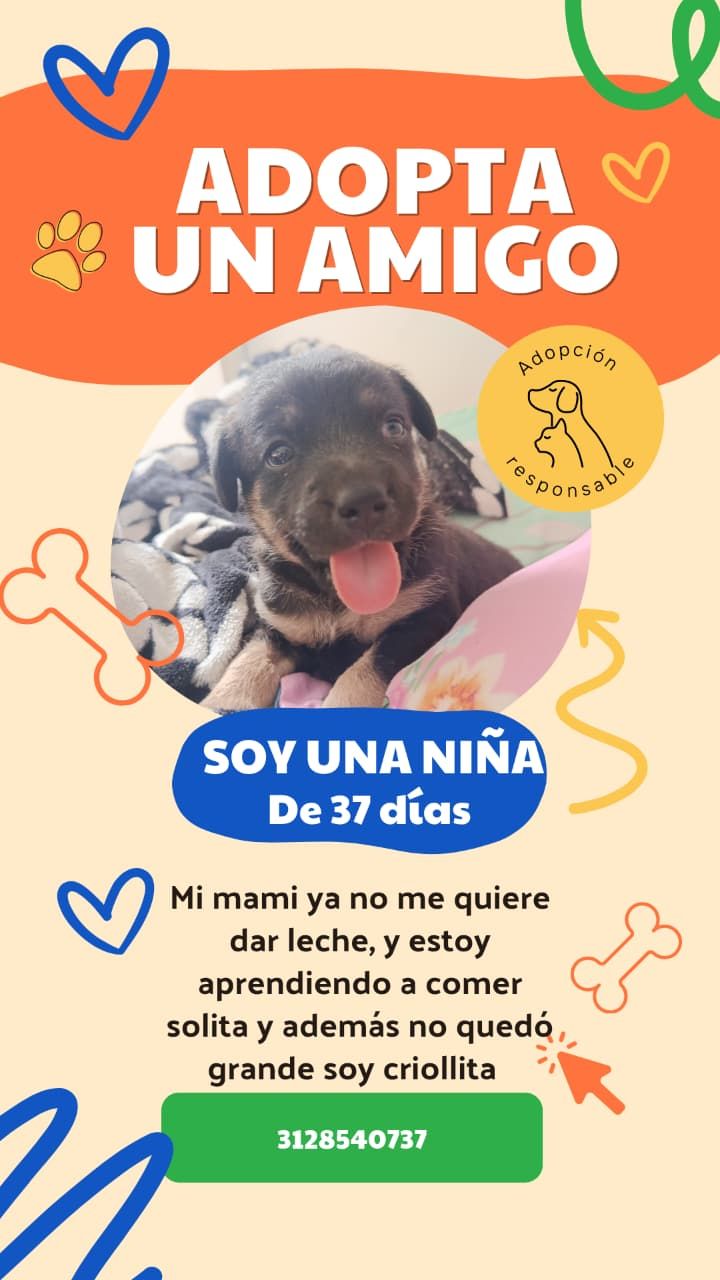 Adopta una niña criollita, aprende a comer solita 