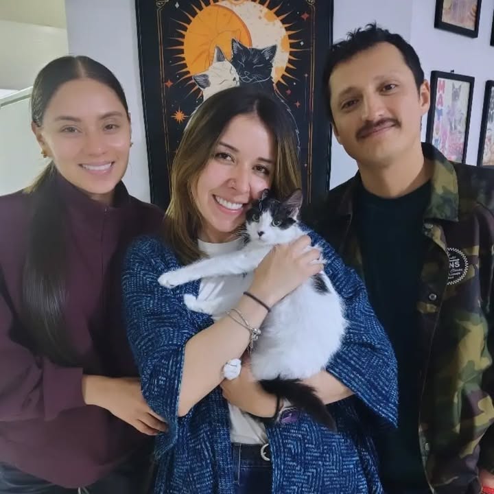 Adopción responsable de Sakura, gatita recuperada y esterilizada en Bogotá 