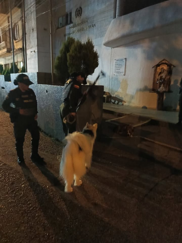 Perrita encontrada en Sevilla Valle 