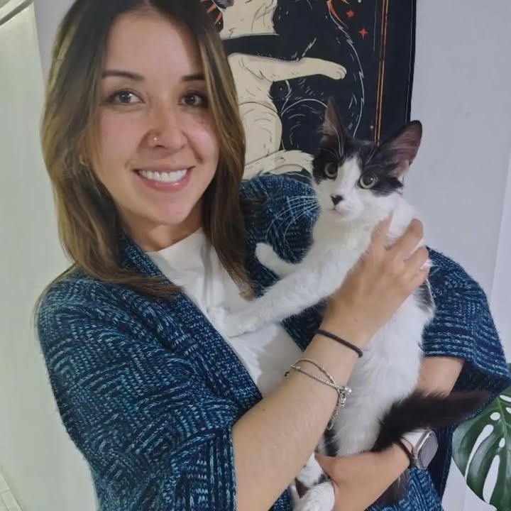 Adopción responsable de Sakura, gatita recuperada y esterilizada en Bogotá 