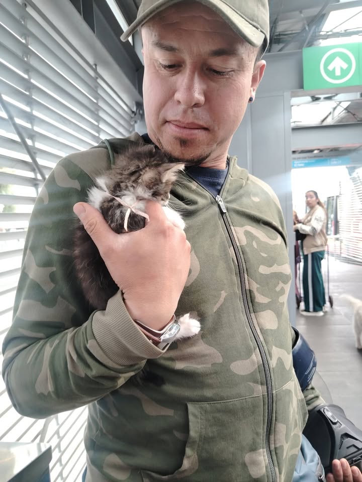 Jornada de Esterilización y Adopción Responsable en Bogotá 