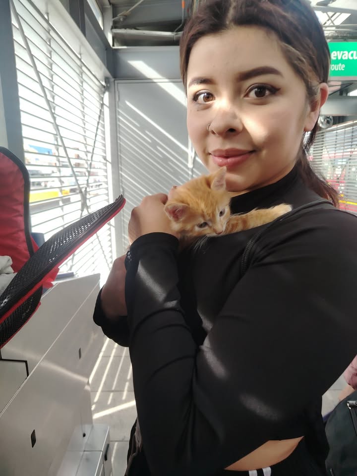 Jornada de Esterilización y Adopción Responsable en Bogotá 