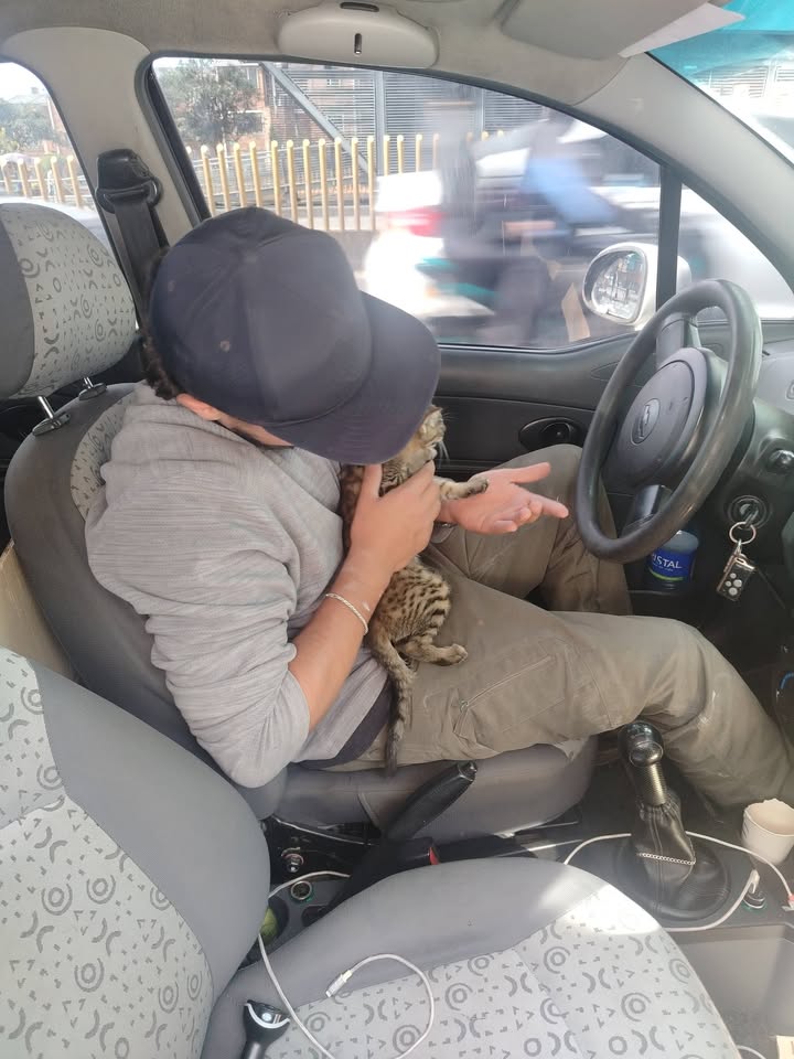 Jornada de Esterilización y Adopción Responsable en Bogotá 