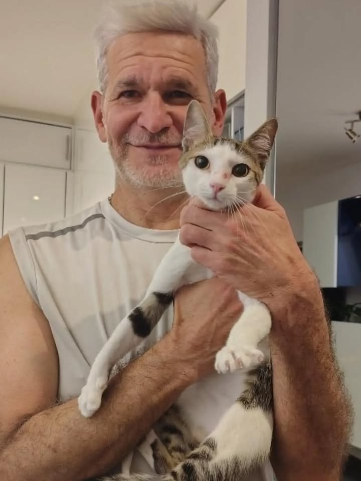 Gatos Tofu y Hanna en adopción responsable en Bogotá 