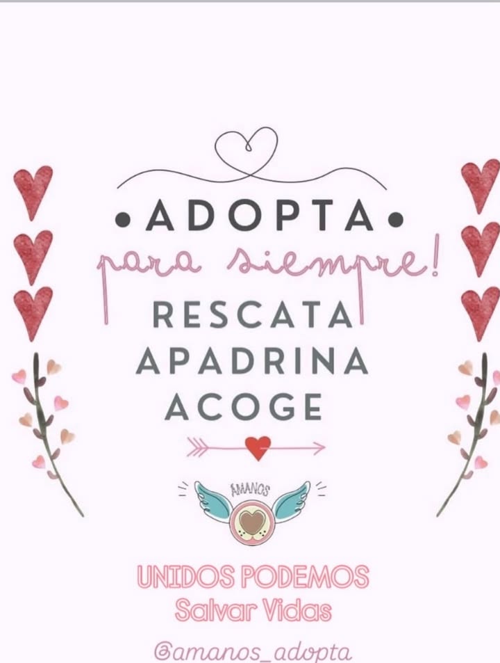 Cachorros en Adopción en Bogotá 