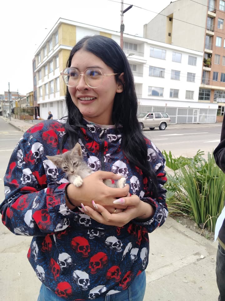 Adopción gatitos responsables y comprometidos en Bogotá 