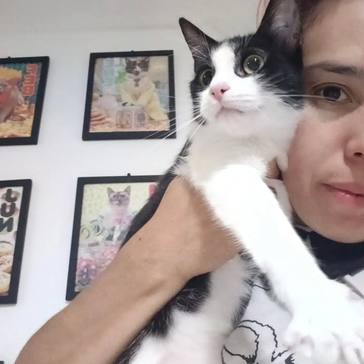 Adoptada: Gatita Galaxia se une a Cosmos en Bogotá 