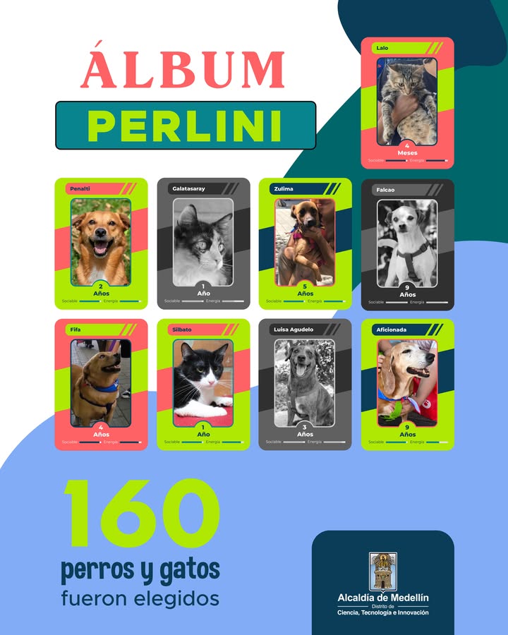 Adopta un Peludito Campeón: Álbum Perlini en Medellín 