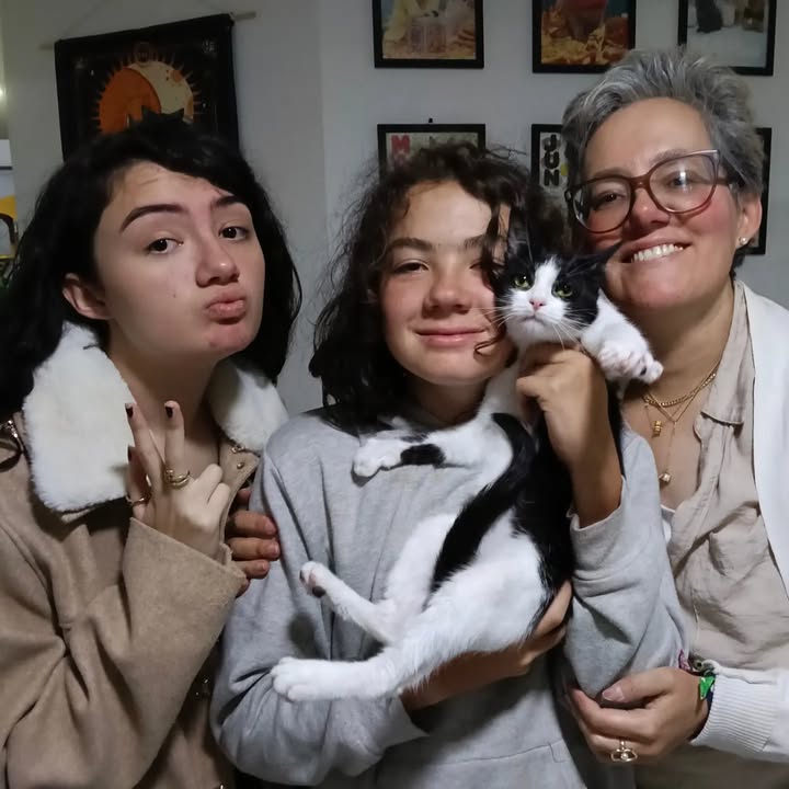Adoptada: Gatita Galaxia se une a Cosmos en Bogotá 