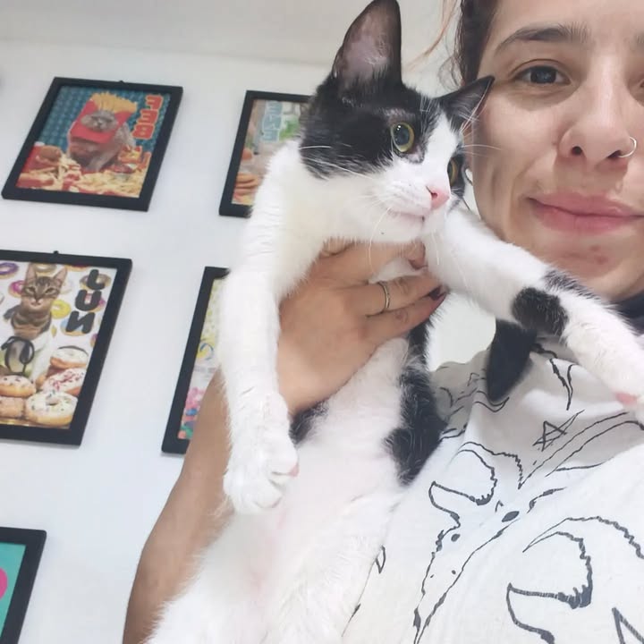 Adoptada: Gatita Galaxia se une a Cosmos en Bogotá 