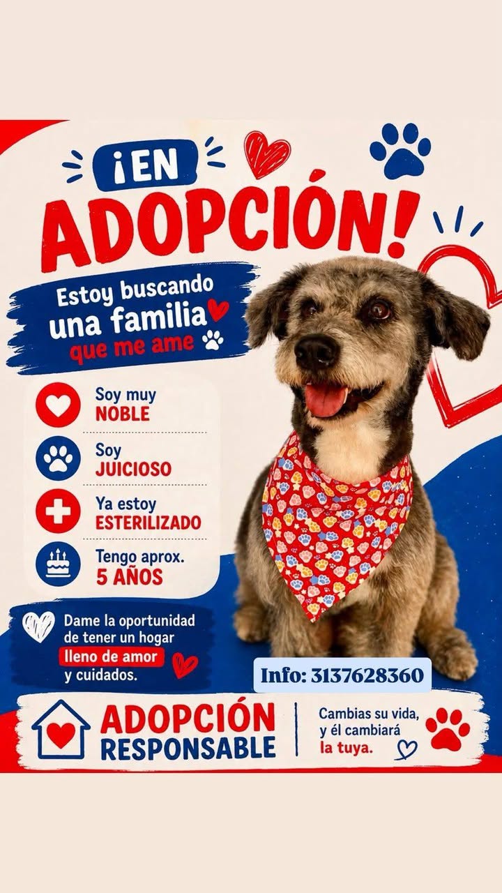 Perro en adopción en Tuluá 