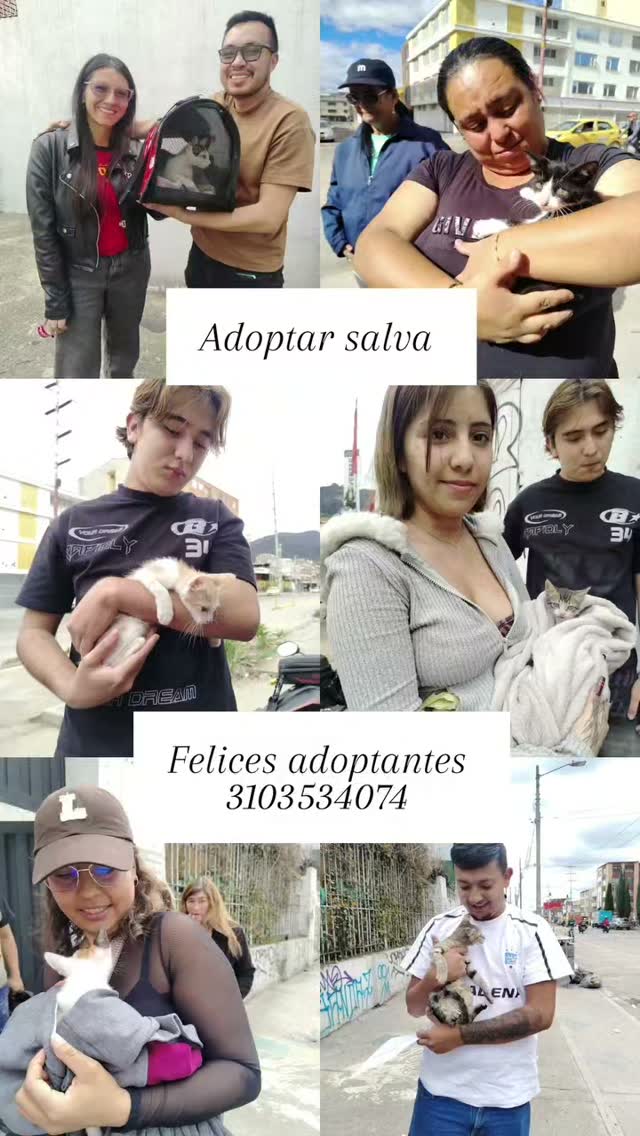 Adopta un peludo en Bogotá 