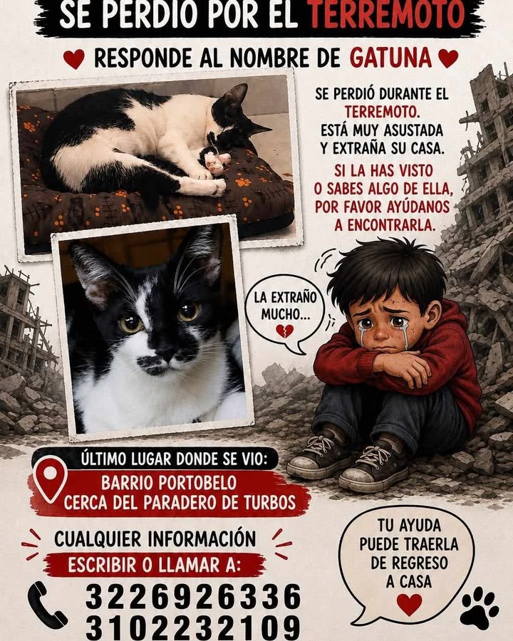 Gatuna se perdió por el terremoto en La Virginia 