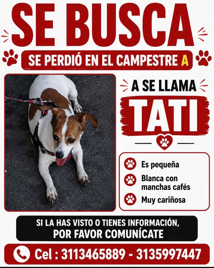 Se busca Tati en Pereira, Risaralda 