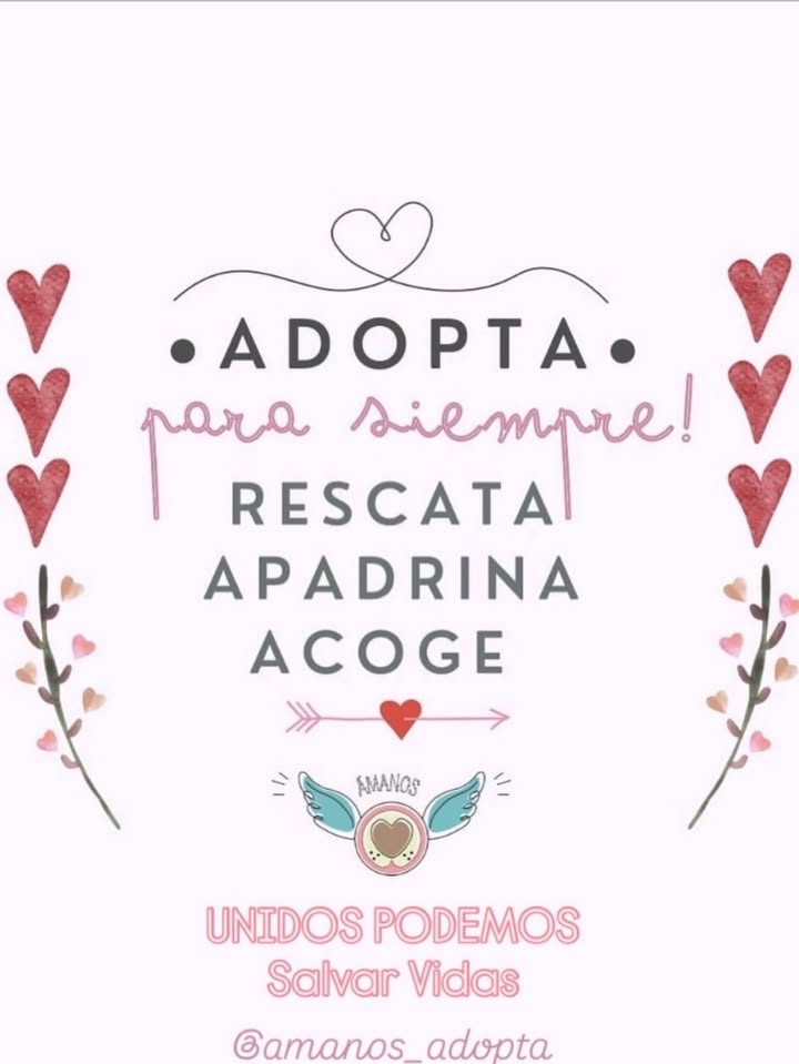 Adopción de Cachorros en Bogotá 