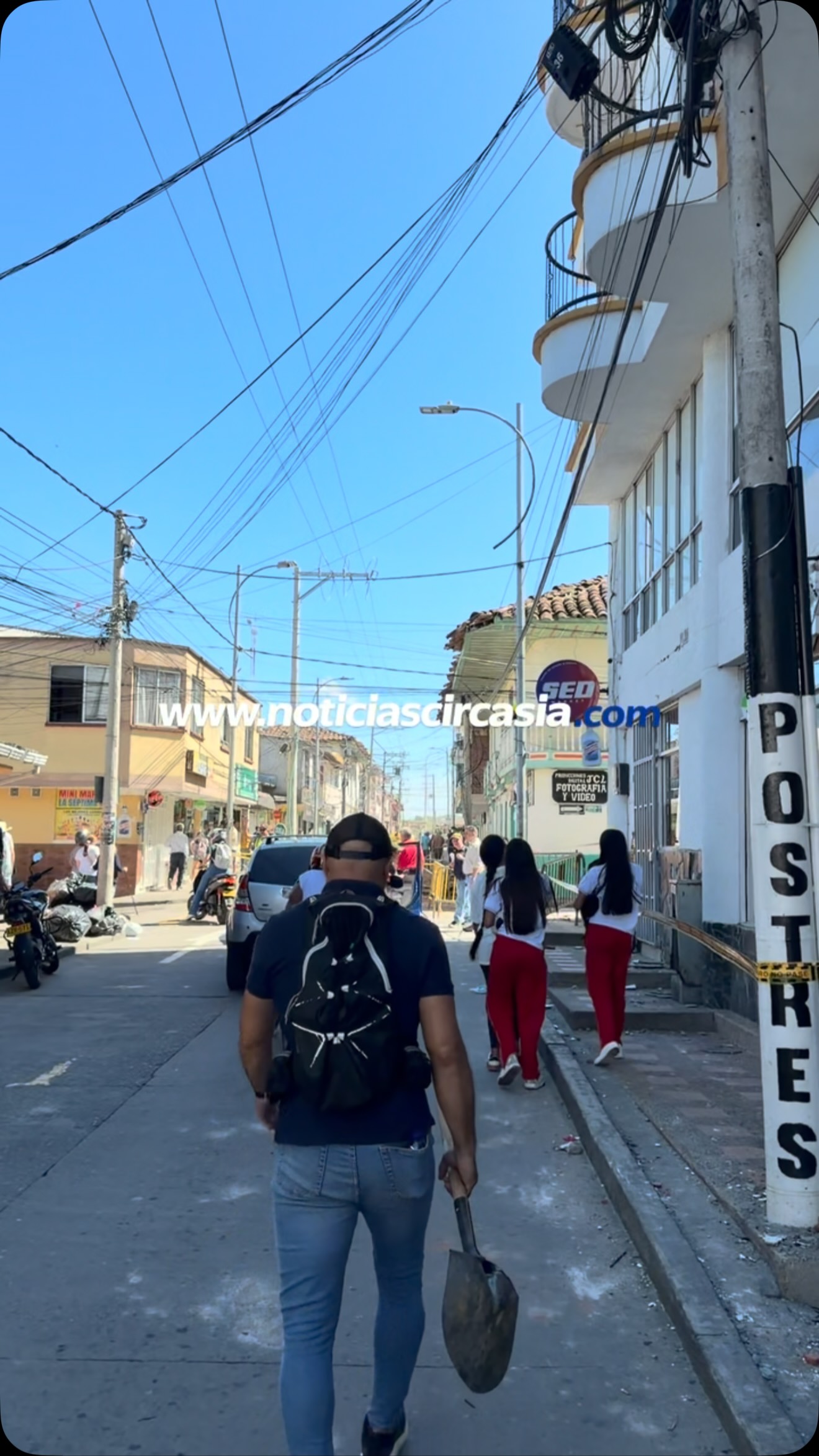 Perro Mestizo Se Busca en Circasia, Quindío 