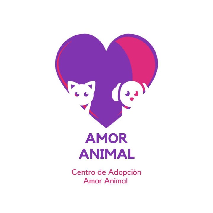 Adopta un peludo y comparte tu vida: cachorros en adopción en Bogotá 