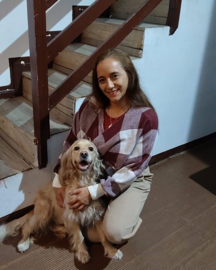 Perro perdido en San Jorge, Manizales 