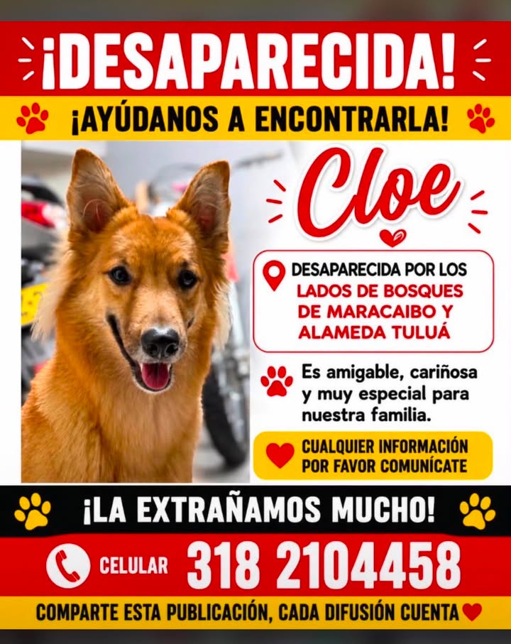 Cloe perdida en Tuluá 