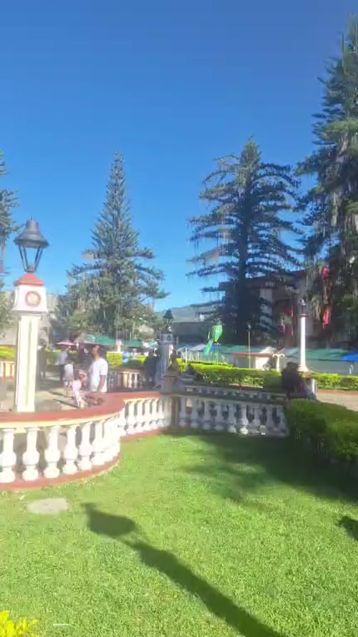 Perro perdido en Santa Rosa de Cabal, Risaralda 