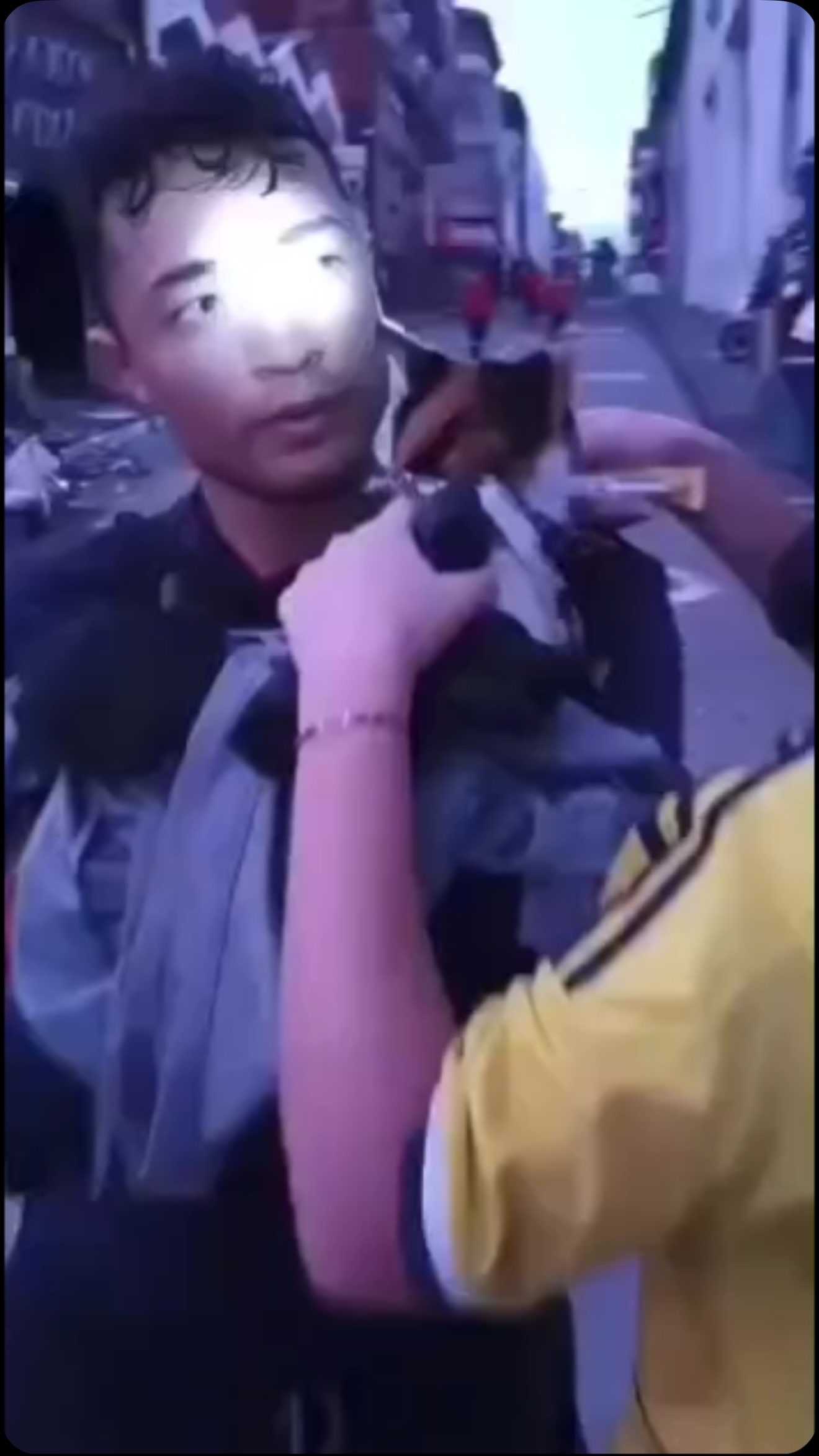 Gato rescatado en Pereira, Risaralda 