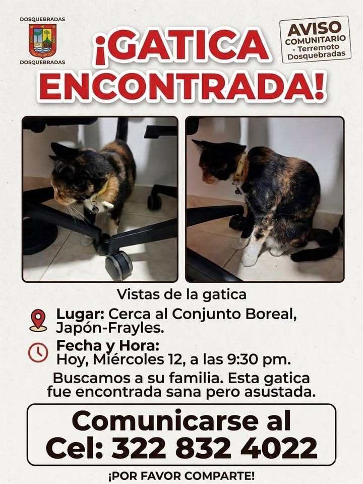 Gatica encontrada en Pereira 