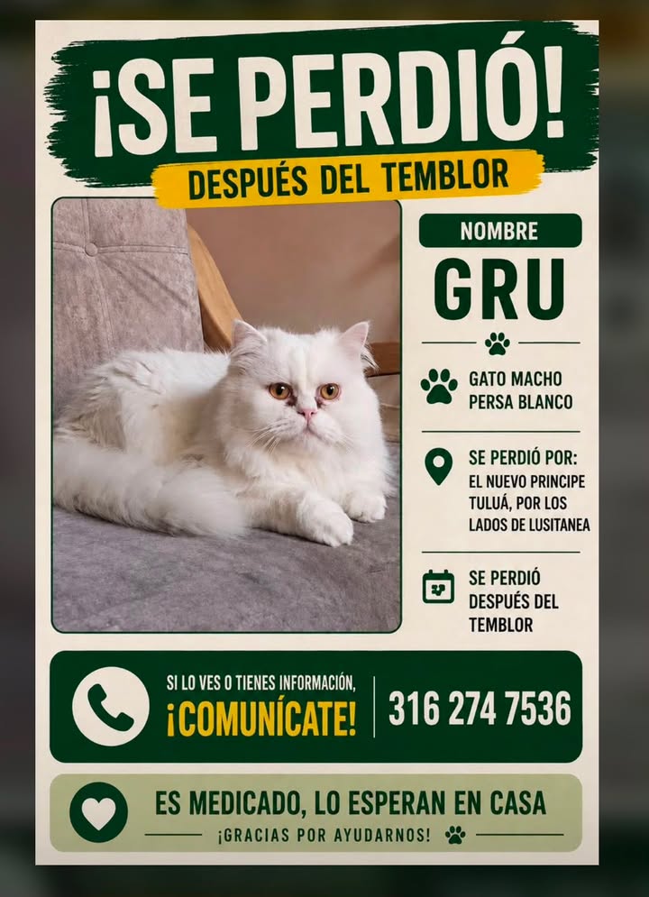 Perro GRU perdido en Tuluá 