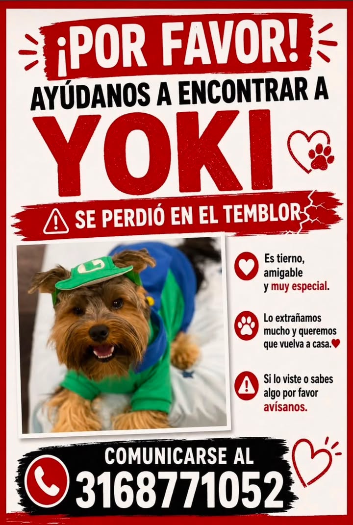 Se perdió Yoki en Tuluá 