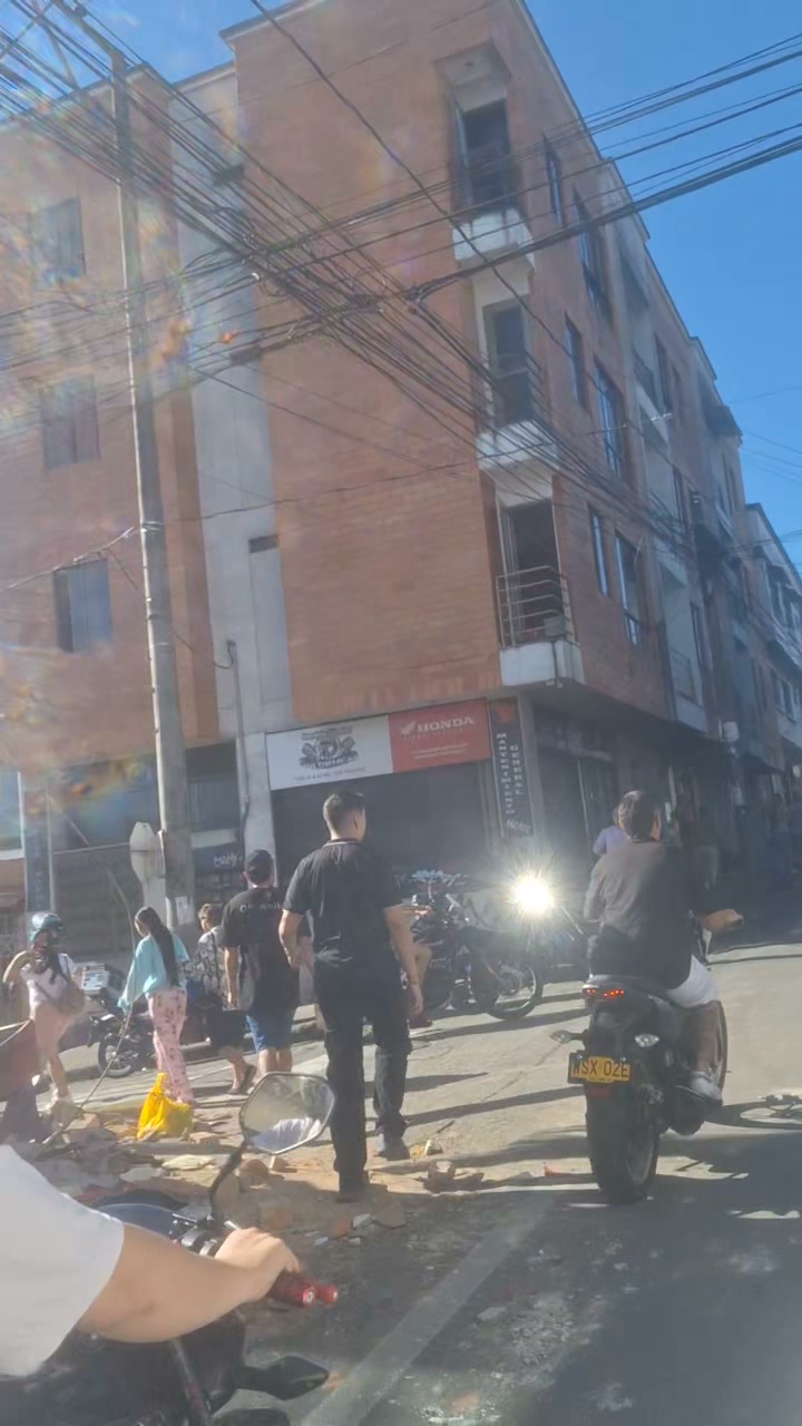 Se busca perra Luna desaparecida en Santa Rosa de Cabal 