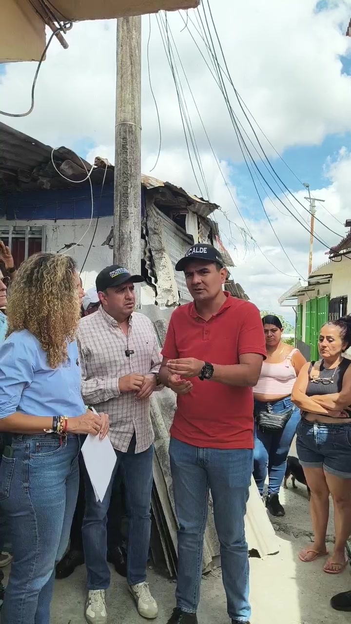 Perro perdido en Circasia, Quindío 