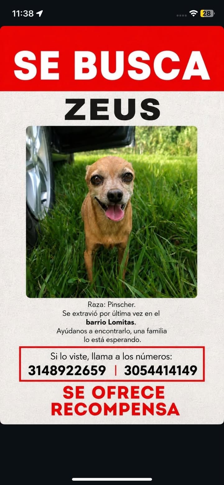 Se busca a ZEUS en Tuluá 