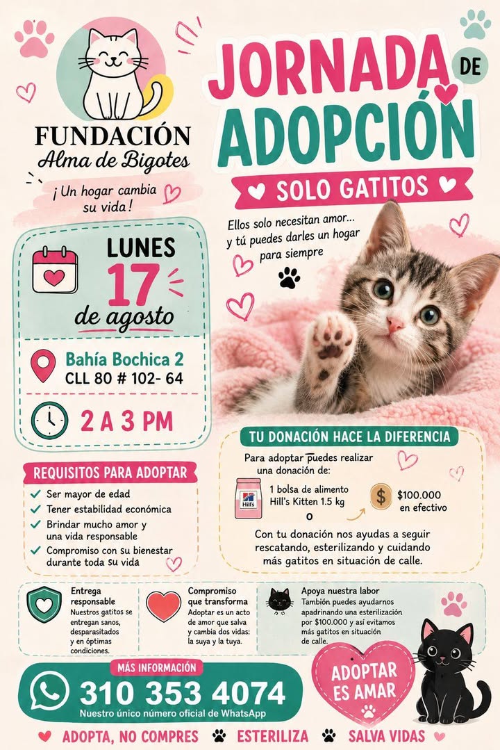 Jornada de Adopción de Gatitos en Bogotá 