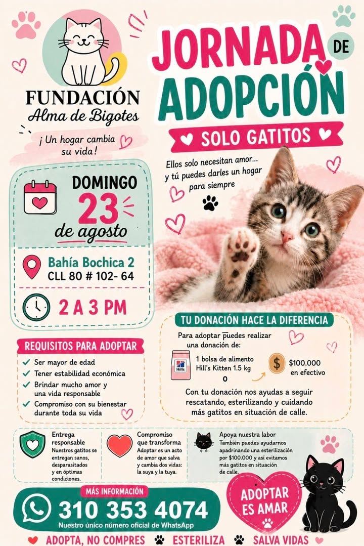 Jornada de Adopción Solo Gatitos en Bogotá 