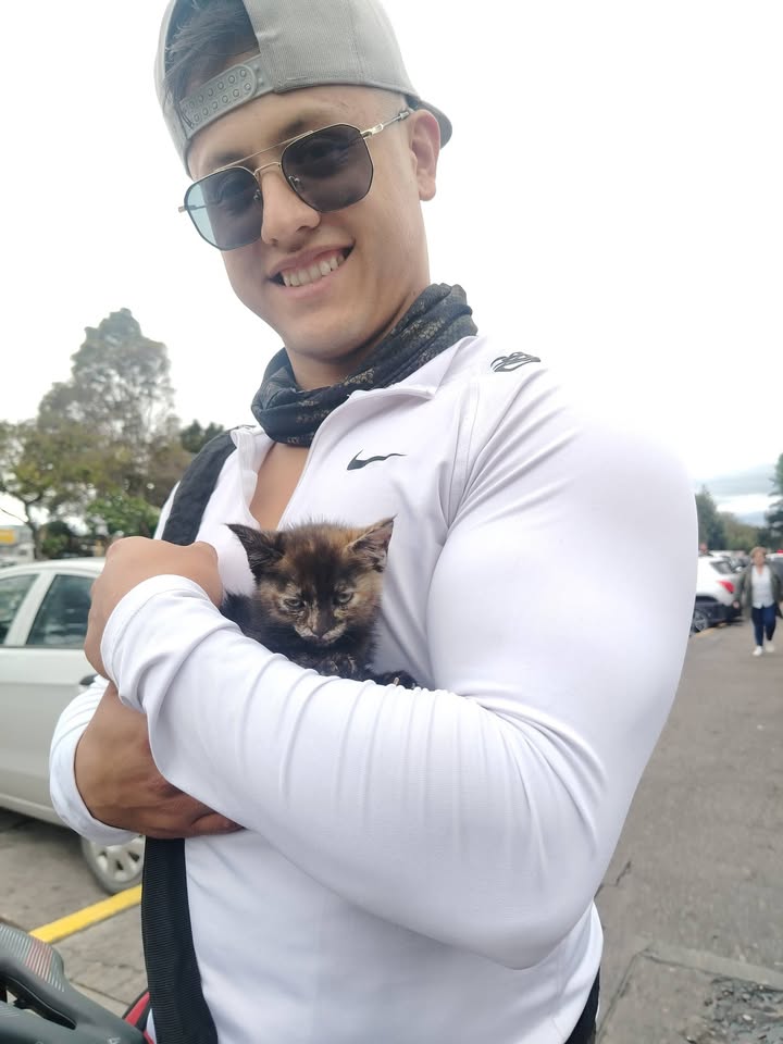 Adopta y ayuda a rescatar animales en Bogotá 
