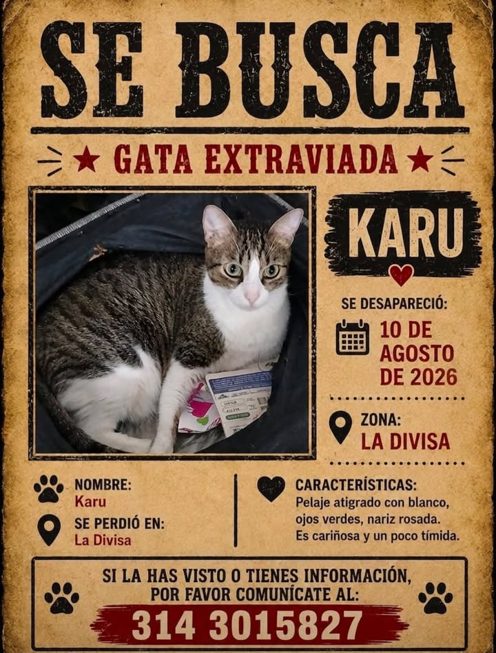 Gata Extraviada Karu - Pereira 