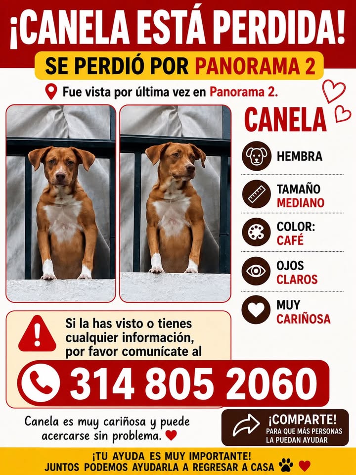 CANELA ESTÁ PERDIDA 