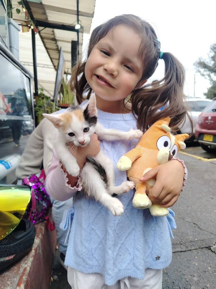 Adopta y ayuda a rescatar animales en Bogotá 