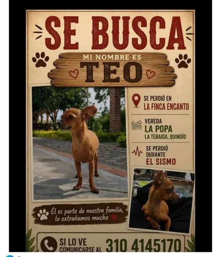 Se busca Teo en Pereira 