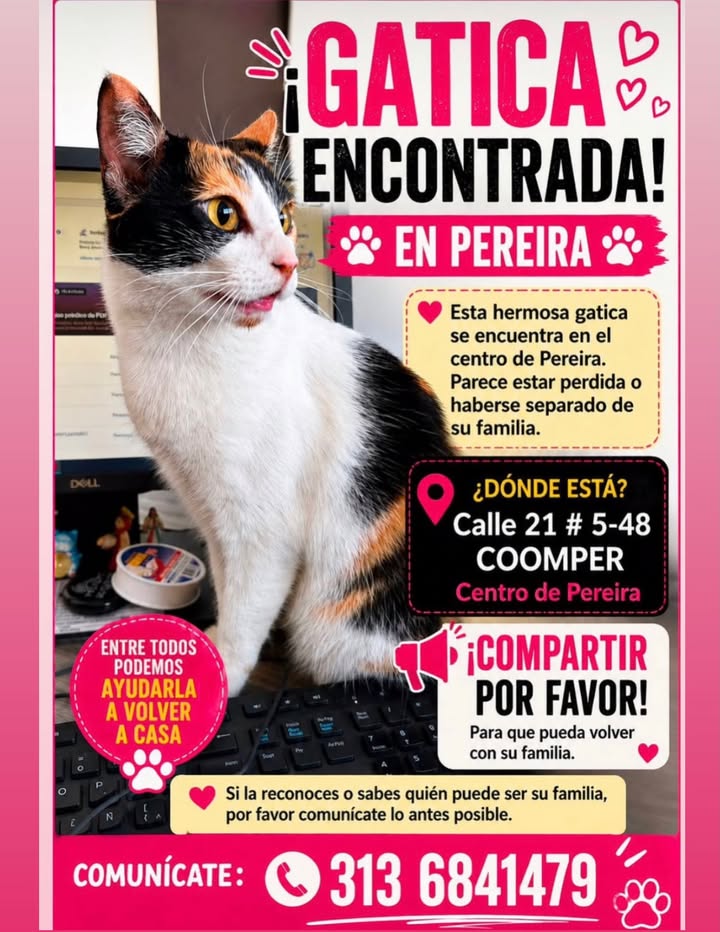 Gatica encontrada en Pereira 