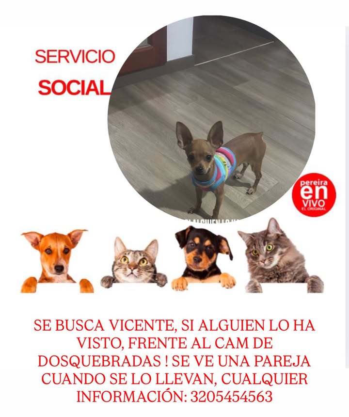 Buscan a Vicente en Pereira 