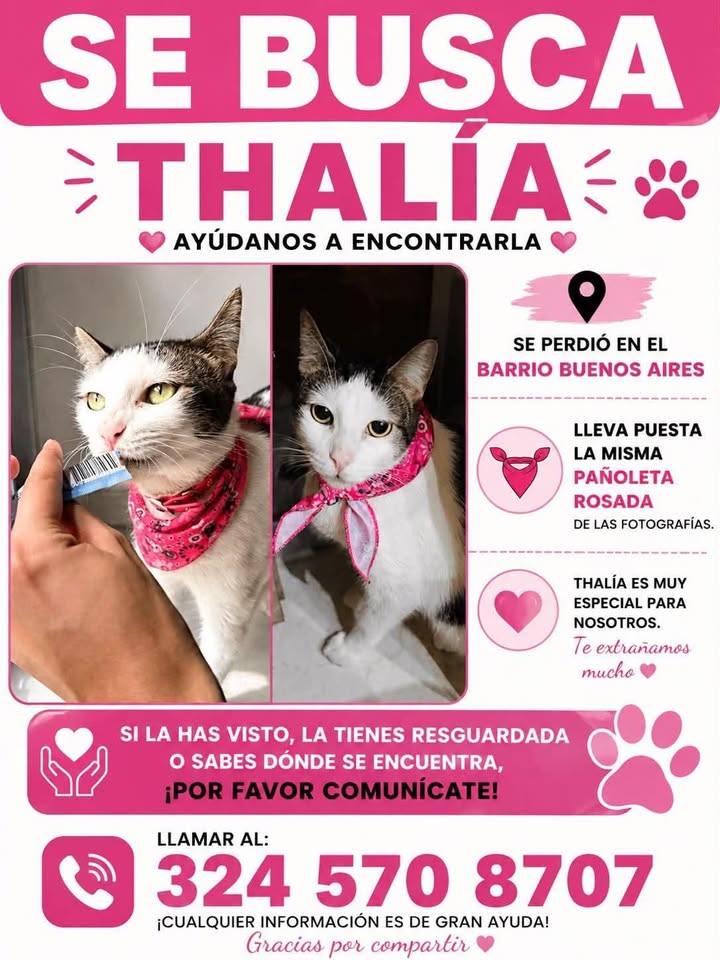Se busca Thalia en Tuluá 