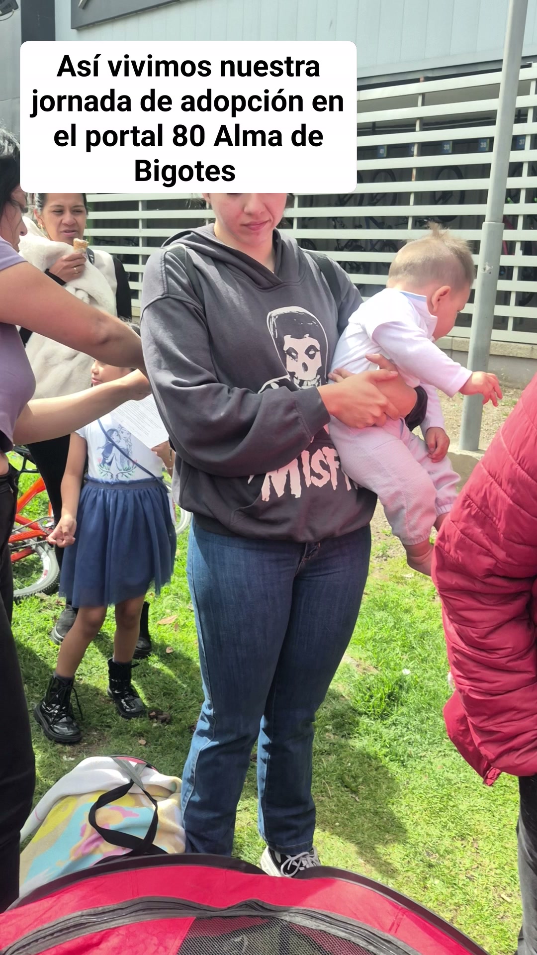 Jornada de adopción en el portal 80 Alma de Bigotes 
