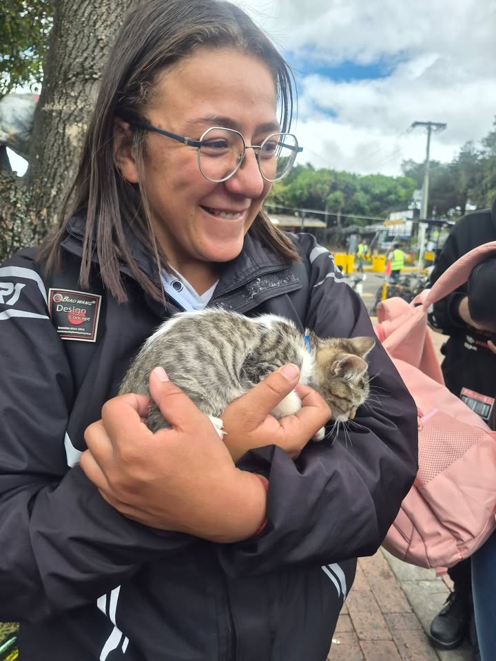 Adopta gatitos en Bogotá 