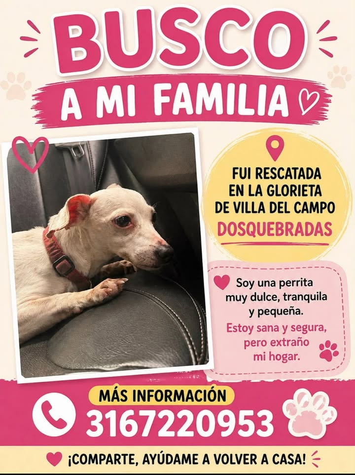 Busca a mi familia - Pereira 