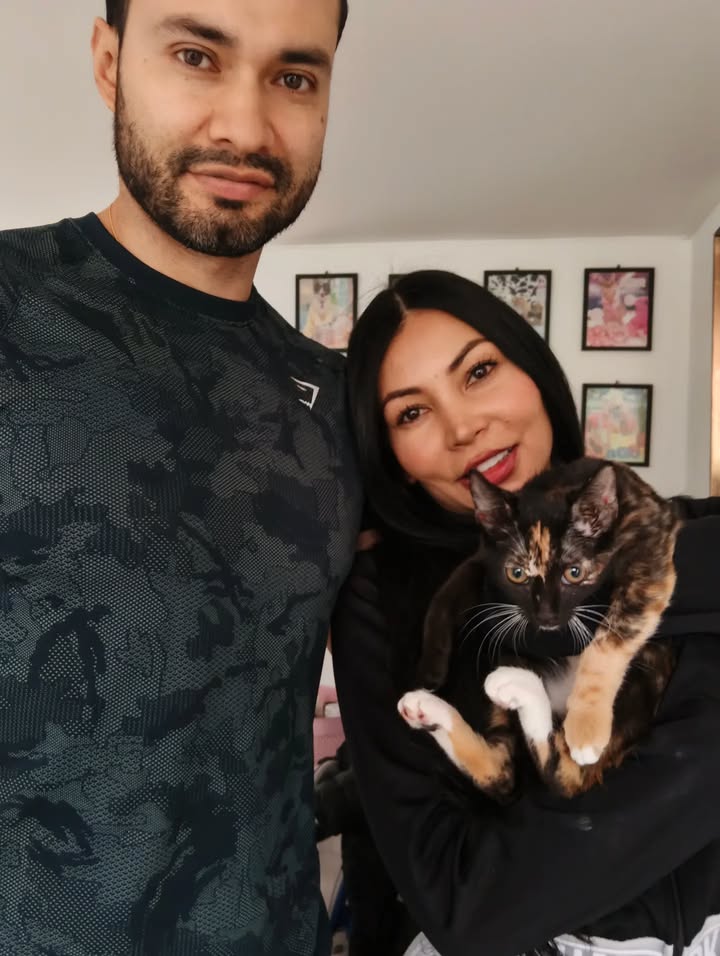 Adopción de gatos en Bogotá: ¡Encuentra tu compañero felino! 
