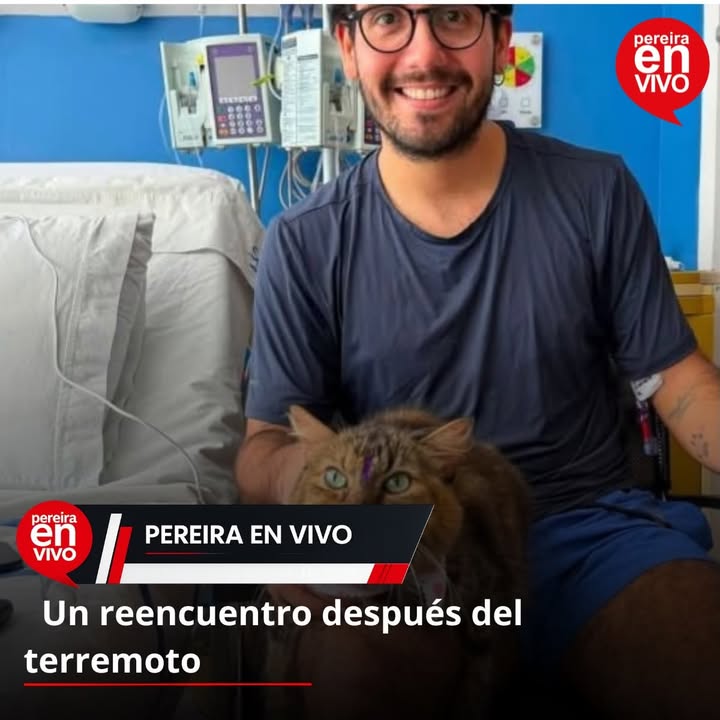 Gata Bartola reencuentra con Mateo tras terremoto en Risaralda, Colombia 