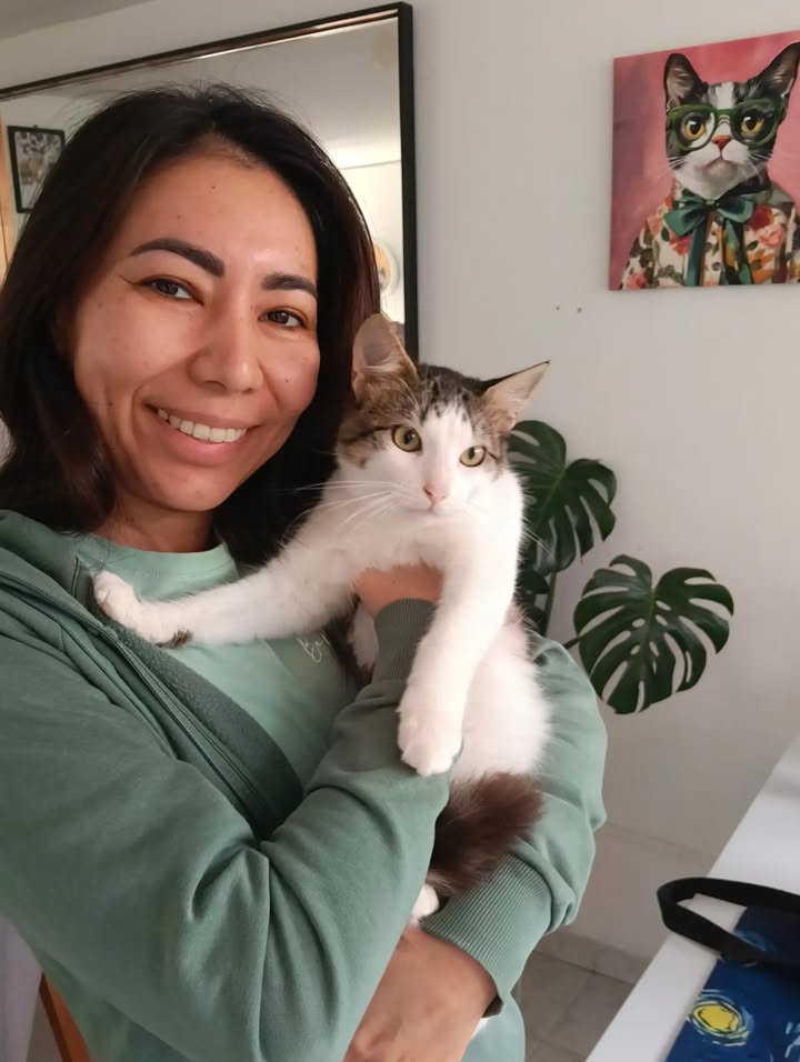 Adopción de gatos en Bogotá: ¡Encuentra tu compañero felino! 