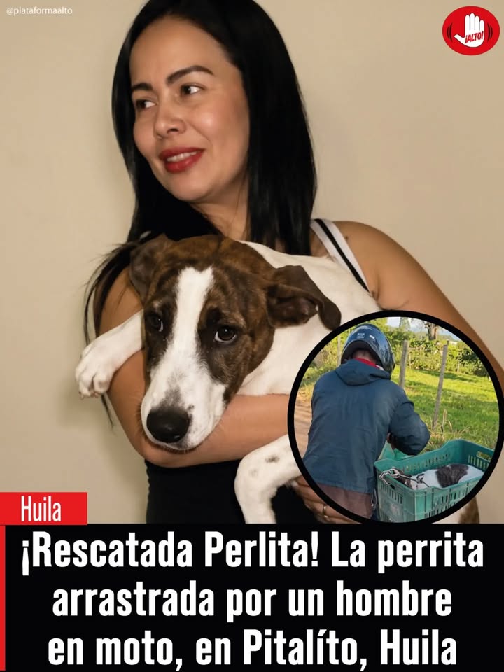 Rescate de Perlita en Pitalito, Huila 