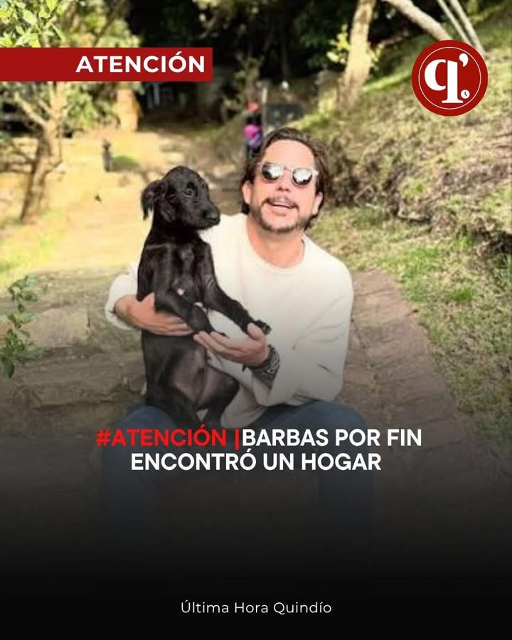 Barbas Encuentra un Hogar tras ser Rescatado en Buenaventura 