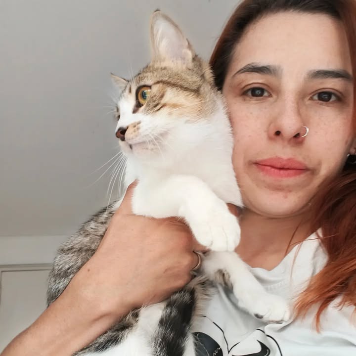 Adopta un gato en Bogotá 